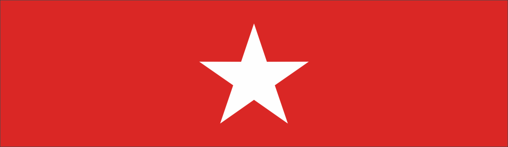 Texas Lone Star Distinguished Service Ribbon Decal