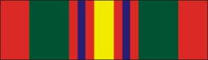 Texas Meritorious Service Ribbon Decal