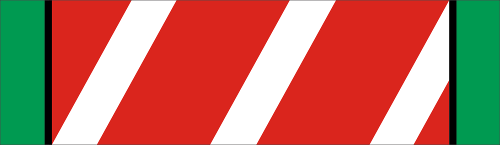 Vietnam Staff Service Ribbon 1st Class Decal