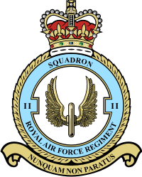 RAF 2 Squadron Decal