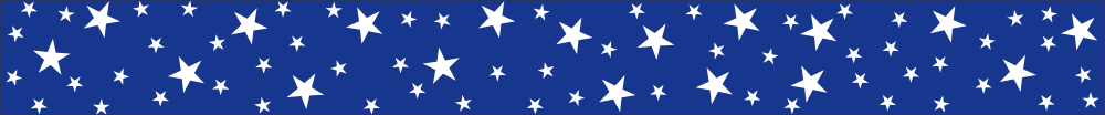 Strategic Air Command Stripe Decal