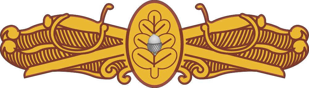 Surface Warfare Badge Medical Decal