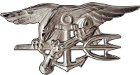 Special Warfare Badge (Silver) Decal