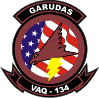 VAQ-134 Electronic Attack Squadron 134 (v2) Decal