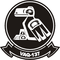 VAQ-137 Electronic Attack Squadron 137 Decal