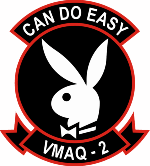 VMAQ-2 Marine Tactical Electronic Warfare Squadron Decal