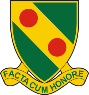 793rd Military Police Battalion Decal