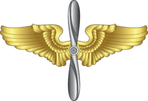 Army Wings and Prop - 3 Decal