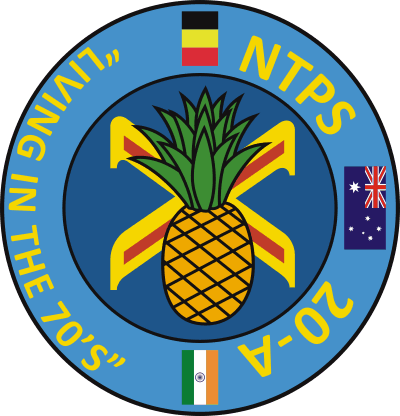 National Test Pilot School 20-A Decal