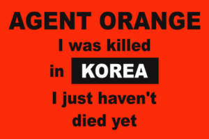 Agent Orange - Killed in Korea Decal