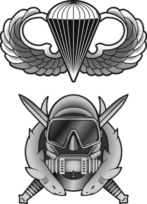 Basic Jump Wings with Special Forces Combat Diver Badge Decal