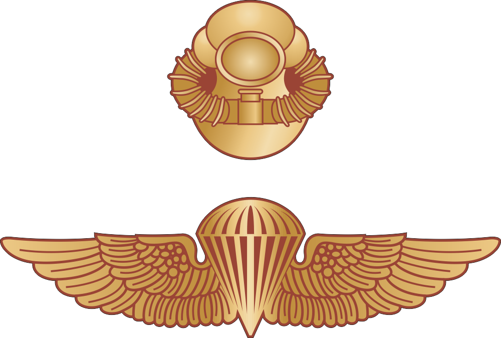 USMC Recon Combo Jump Wings/Combat Diver Decal