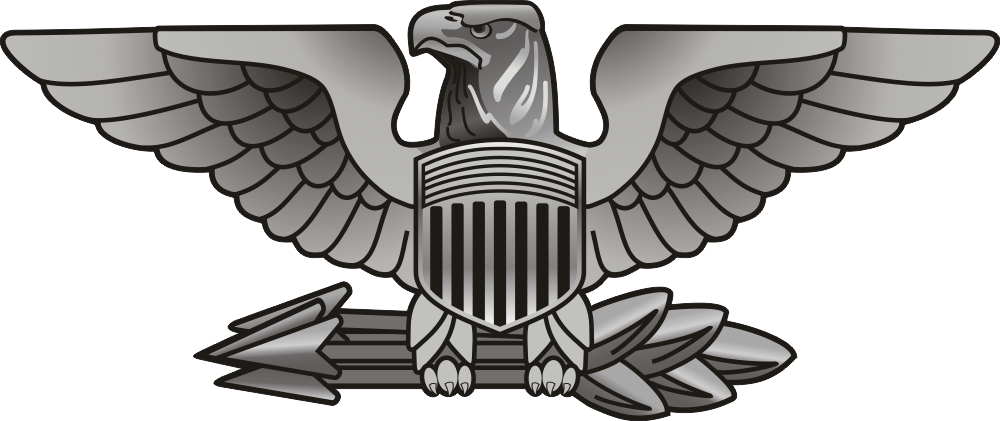Army Colonel War Eagle – Left Decal