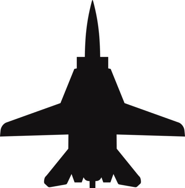 Grumman F-14 Tomcat Silhouette (Black) Decal