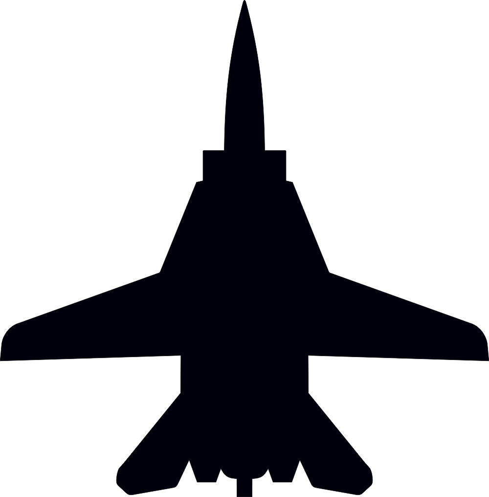 Grumman F-14 Tomcat Silhouette (Black) Decal