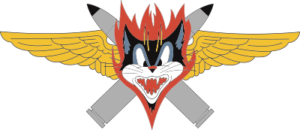 VF-13 Black Cats Decal