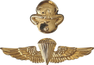 USMC Recon Combo Jump Wings/Combat Diver (v3) Decal