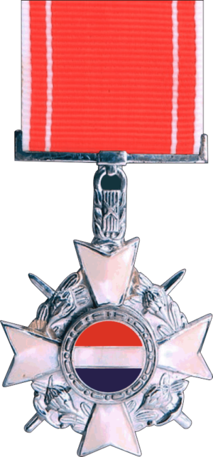 Republic of South Africa Honoris Crux Medal Decal