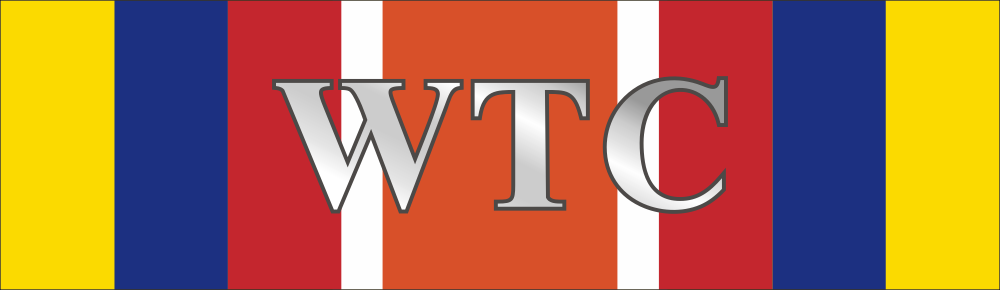 New York State Defense of Liberty Ribbon Decal