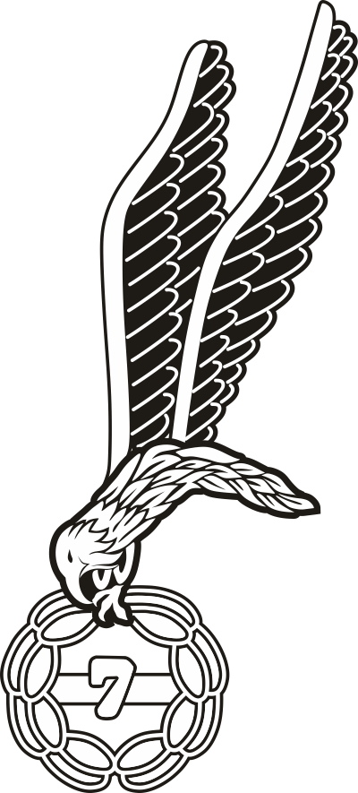 Polish Jump Wings Decal