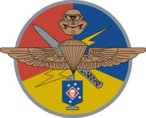 MSOCOM Detachment One DUI Decal