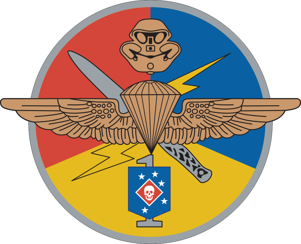 MSOCOM Detachment One DUI Decal