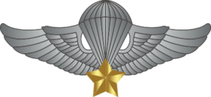 Vietnam Jump Wings (v2) Decal