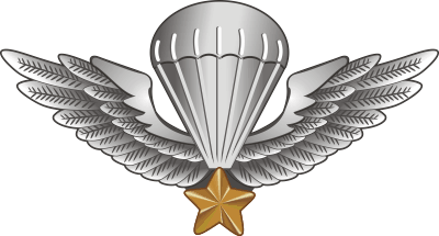 Vietnam Jump Wings Decal (v1)