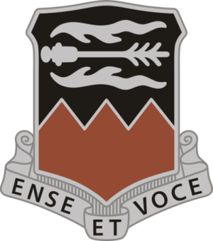 141st Signal Battalion DUI Decal