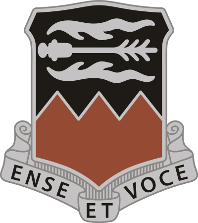 141st Signal Battalion DUI Decal