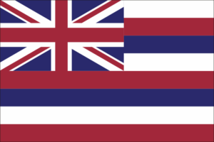 Hawaii State Flag Decal