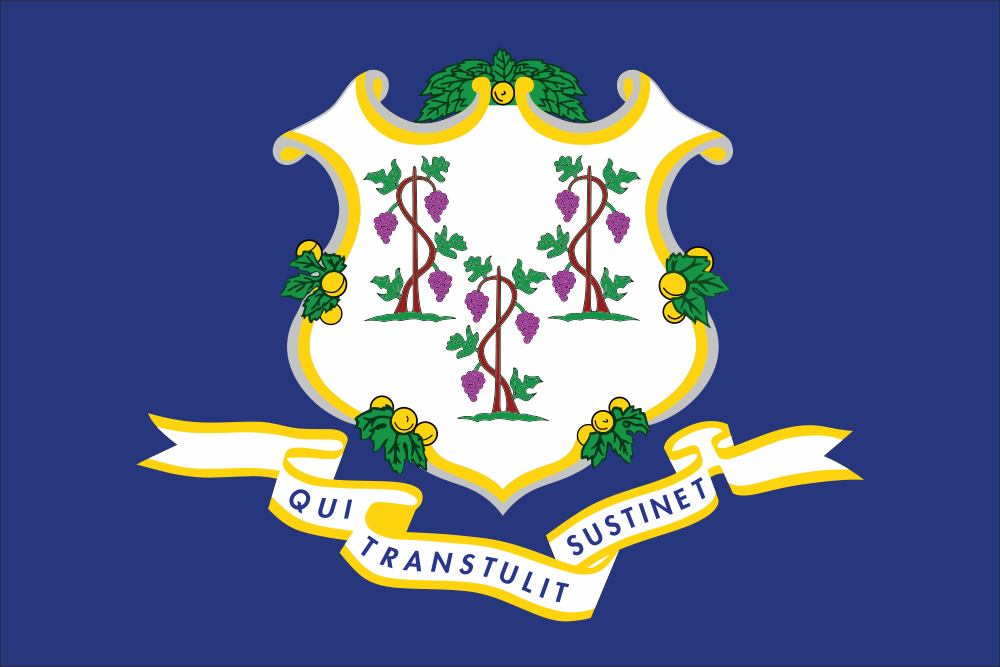 Connecticut State Flag Decal