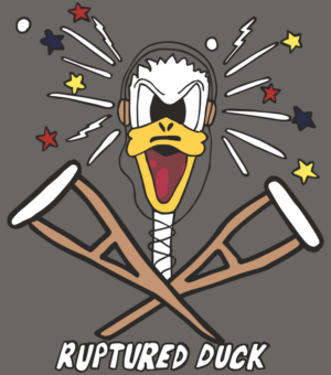 Ruptured Duck Nose Art Decal
