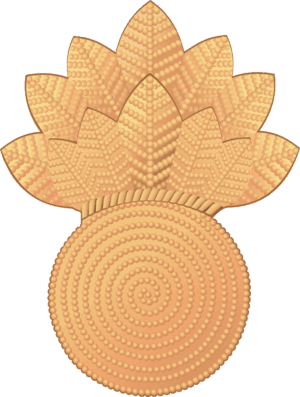 USMC Bursting Bomb Insignia - Gold