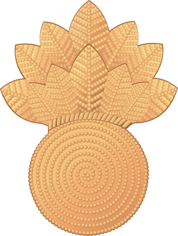 USMC Bursting Bomb Insignia - Gold