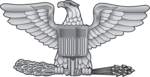 AF Colonel (COL) O-6 with olive branches