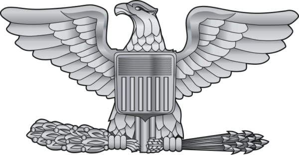 AF Colonel (COL) O-6 with olive branches