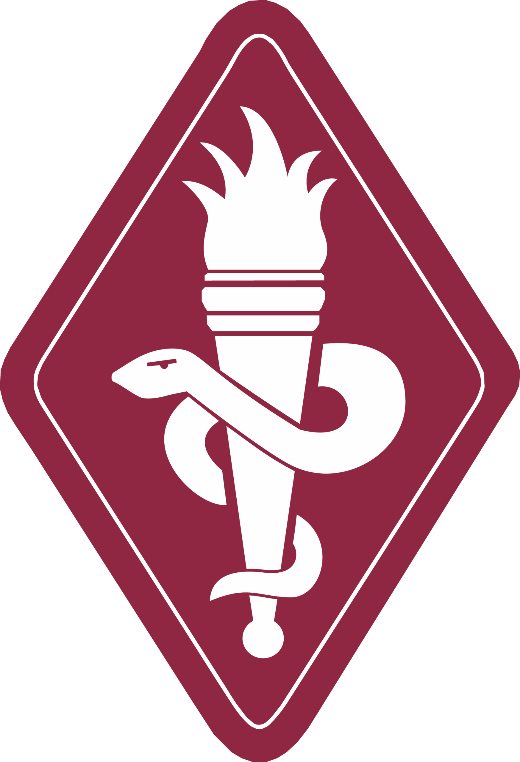 Army Medical Center of Excellence SSI Decal