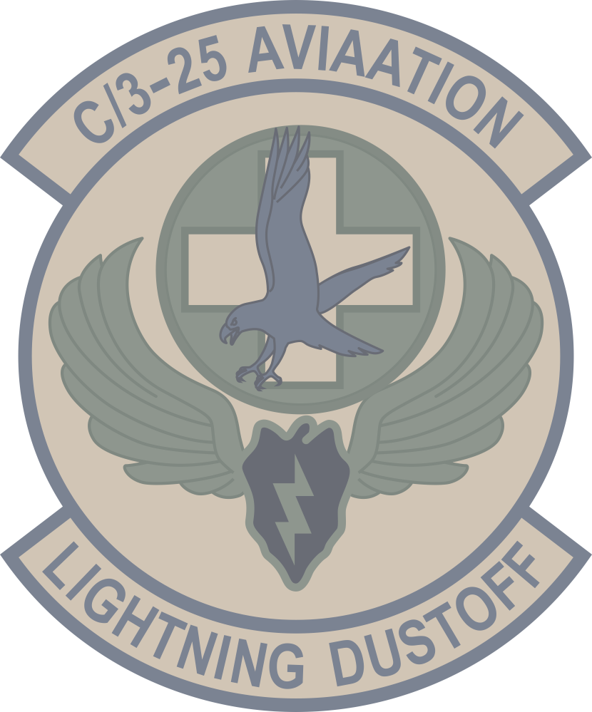 Company C 3-25 Aviation (Subdued) Decal