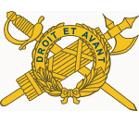 Inspector General Branch Insignia Decal