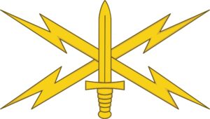 Cyber Branch Insignia Decal