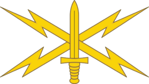 Cyber Branch Insignia Decal
