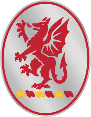13th Field Artillery Regiment DUI Decal 13th Field Artillery Regiment DUI Decal