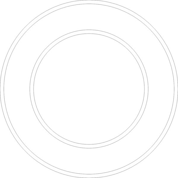 Air Force Roundel